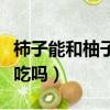 柿子能和柚子在一起吃嗎（柿子能和柚子一起吃嗎）