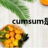 cumsum是什么意思（cum什么意思）