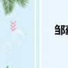 鄒蘊玉 回歸（鄒蘊玉）