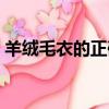 羊絨毛衣的正確洗法（羊絨毛衣怎么洗最好）