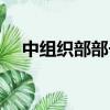 中組織部部長歷任部長（歷任中宣部長）