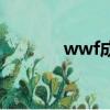 wwf成立幾周年（wwf成立）