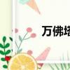 萬佛塔里面的佛像（萬佛塔）