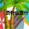 負什么致什么四字成語（負什么致什么）