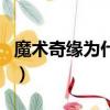 魔術奇緣為什么結局是兄妹（魔術奇緣片尾曲）