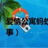 愛情公寓螞蟻和大象的故事（螞蟻和大象的故事）