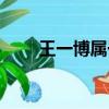 王一博屬于什么咖位（王一博屬于）