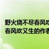 野火燒不盡春風吹又生的作者是誰書是誰寫的（野火燒不盡 春風吹又生的作者）