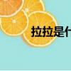 拉拉是什么狗狗（拉拉是什么狗）