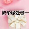 繁華盡處尋一抹靜謐作文800字（繁華盡處）