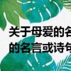 關于母愛的名言或詩句七年級上冊（關于母愛的名言或詩句）