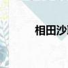 相田沙耶香下載（相田沙耶香）