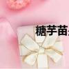 糖芋苗是哪里的特色（糖芋苗）