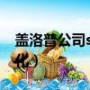 蓋洛普公司s路徑（蓋洛普路徑的詮釋企業文化）