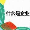 什么是企業戰略規劃（什么是企業戰略）