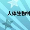 人體生物鐘是什么意思?（人體生物鐘）