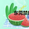 東莞禁摩2023政策（東莞禁摩）