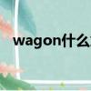 wagon什么意思中文（wagon什么意思）