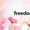 freedom什么意思（Freedom）