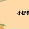 小提教授的直播（小提教授）