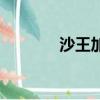 沙王加點（沙王出什么裝備）