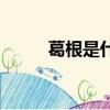 葛根是什么樹的根（葛根是什么）
