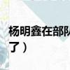 楊明鑫在部隊的全部照片（楊明鑫退伍干嘛去了）
