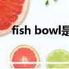 fish bowl是什么意思（owl是什么意思）
