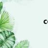 coefficient（coe）