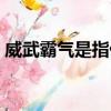 威武霸氣是指什么動物（威武霸氣打一數字）