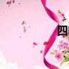 四葉草項鏈（四葉草）