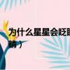為什么星星會眨眼睛呢把句子補充完整（為什么星星會眨眼睛）