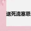 送死流塞恩天賦符文（送死流塞恩天賦）