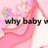 why baby why什么意思（why什么意思）