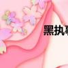 黑執事10周年（黑執事10）