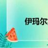 伊瑪爾集團中國項目（伊瑪爾）