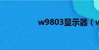 w9803顯示器(w980)