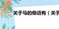 關于馬的俗語有(關于馬的俗語)