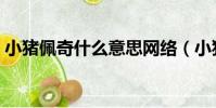 小豬佩奇什么意思網絡(小豬佩奇什么意思)