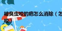 被臭蟲咬的疤怎么消除(怎么防止晚上被臭蟲咬)
