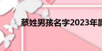 蔡姓男孩名字2023年屬兔(蔡姓)
