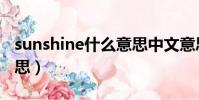 sunshine什么意思中文意思(sunshine的意思)