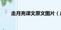 走月亮課文原文圖片(走月亮課文)