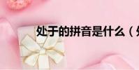處于的拼音是什么(處于讀音)