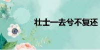 壯士一去兮不復還(壯士)