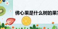 佛心果是什么樹的果實(佛心)