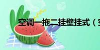 空調一拖二掛壁掛式(空調一拖二)