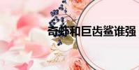 奇蝦和巨齒鯊誰強(奇蝦)