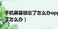 手機屏幕鎖忘了怎么辦oppo(手機屏幕鎖忘了怎么辦)