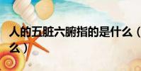 人的五臟六腑指的是什么(五臟六腑指的是什么)
